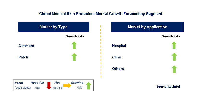 Medical Skin Protectant Market by Segment